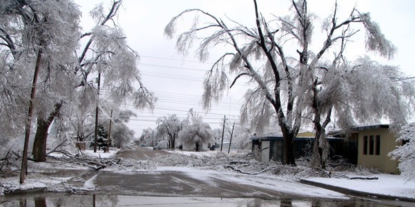 About 900 residents and business were without power as an ice storm pushed through the Panhandle Dec. 19-20. Hardest hit areas were Guymon and Goodwell. Photo provided by Texas County Emergency Management.