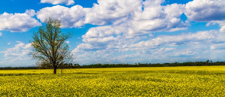 ThinkstockPhotos-927629606-768x333