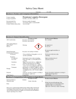 Premium Laundry Detergent SDS
