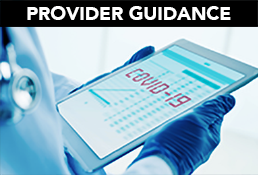 SubHeader_PROVIDER-GUIDANCE