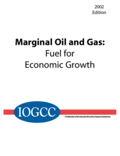 Marginal Well Report 2002