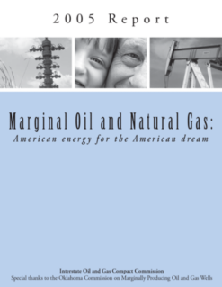 Marginal Well Report 2005