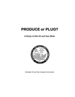 Produce or Plug 2000