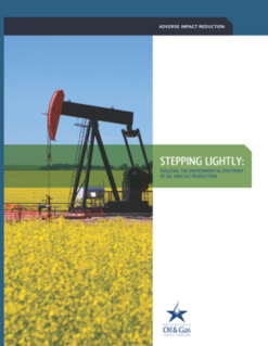 Stepping lightly-reducing environmental 2008