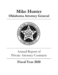 2020 20i Annual Report