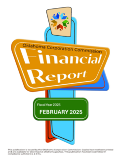 2. Monthly Financial Report February 2025