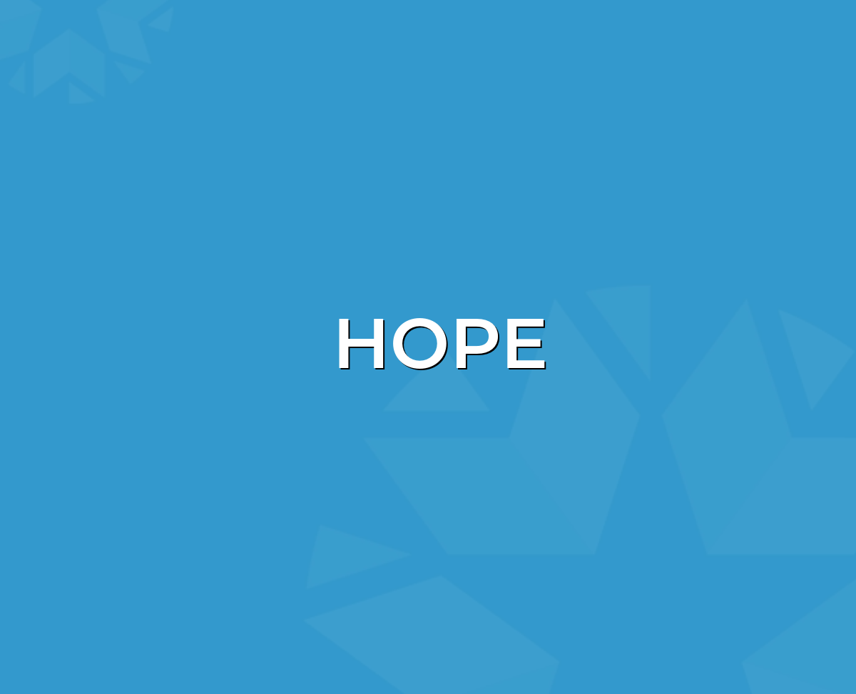 2023 Youth and Family Feature Boxes - HOPE Standard Version