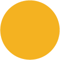 Yellow circle icon