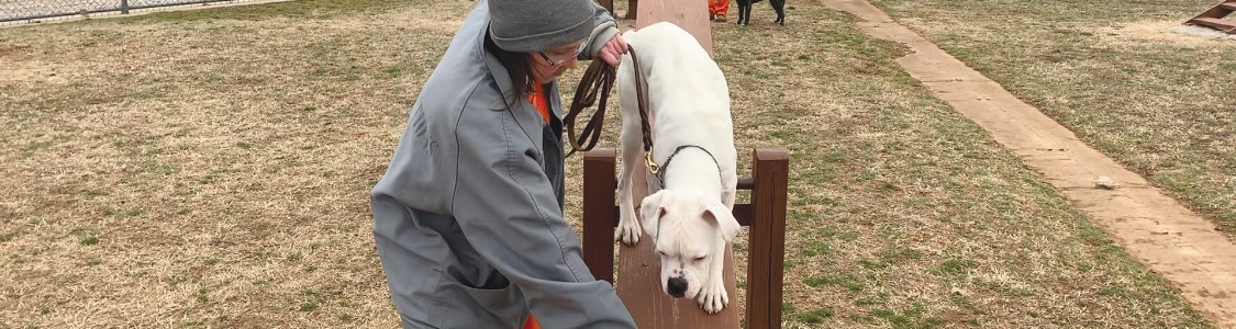 Mabel Bassett Correctional Center Dog Program