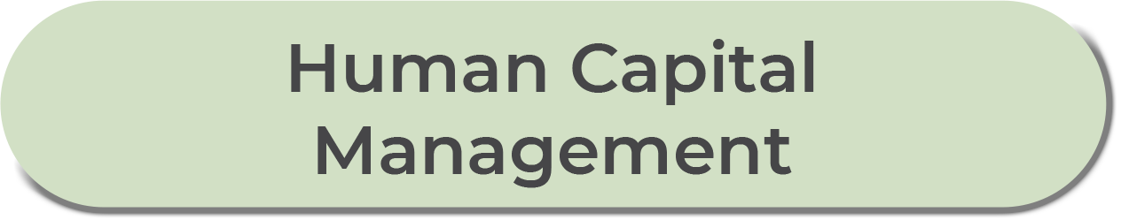 human capital management
