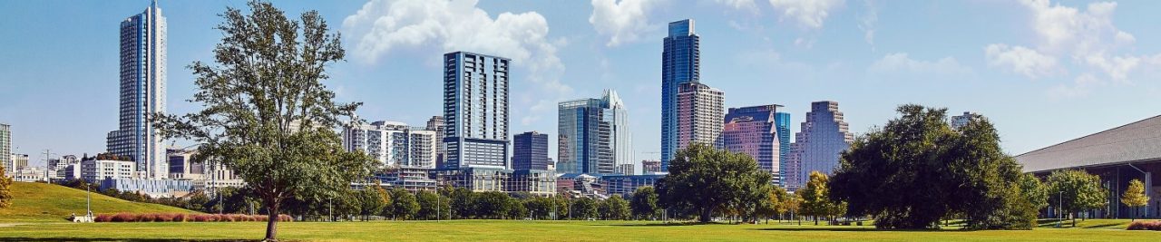 City landscape behind green park setting