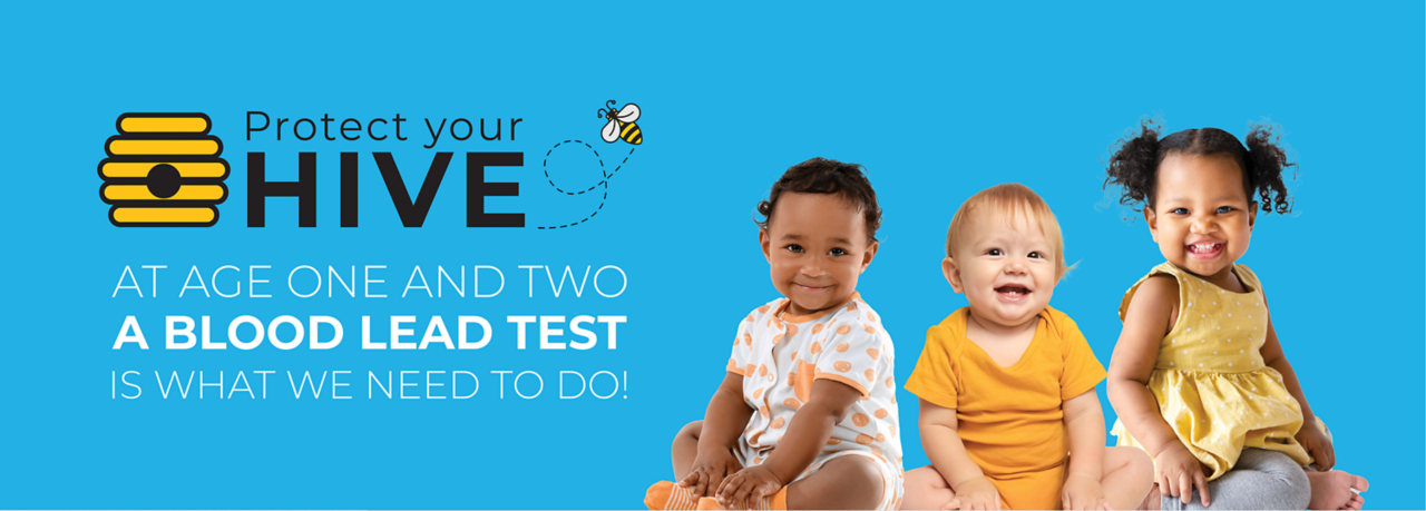 Protect your hive at age one and two a blood lead test is what we need to do. 