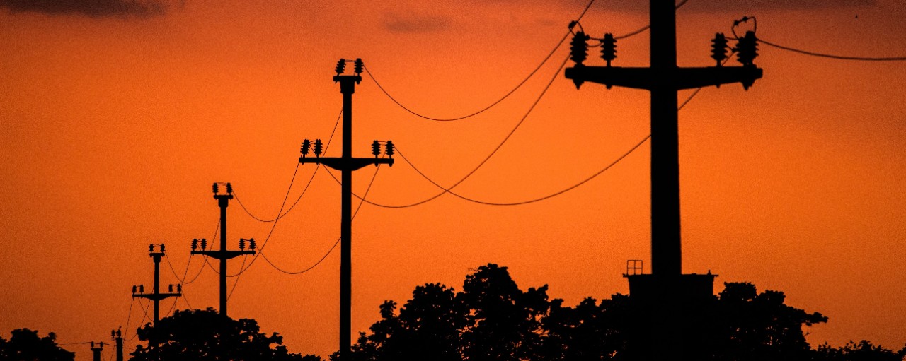 Silhouettes of electric lines against an orange sky with silhouettes of busy trees at the bottom of the frame