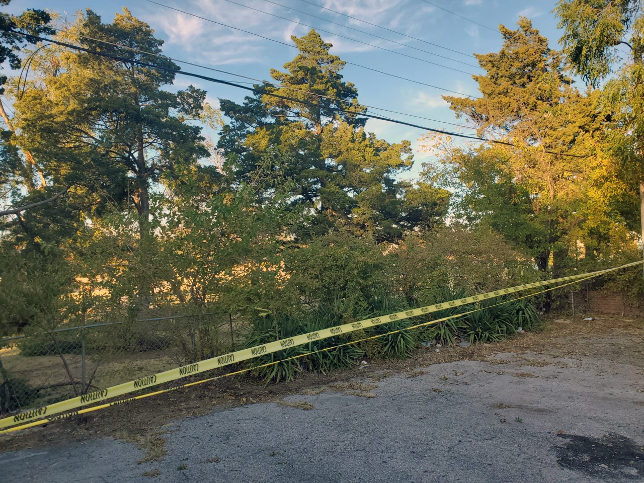 Vegetation under power lines being blocked off by caution tape