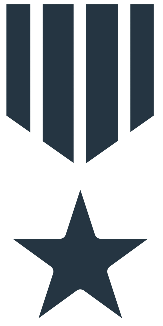 military ribbon and star 