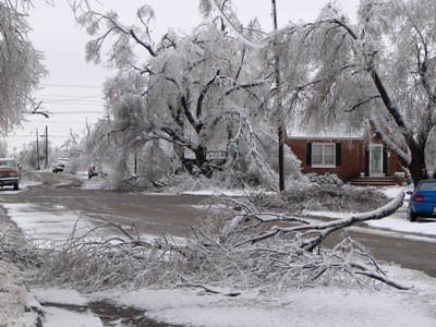 Downed tree limbs in Texas County