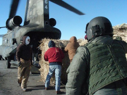 Men pushing hay bales onto chinook.