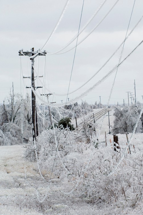 Iced over power lines and trees lying on the ground.