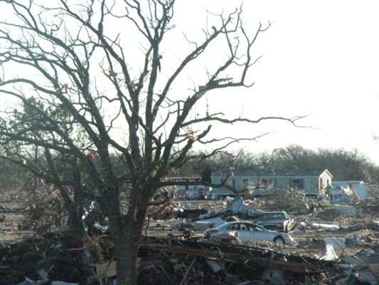 storm debris scattered and trees striped of leaves.