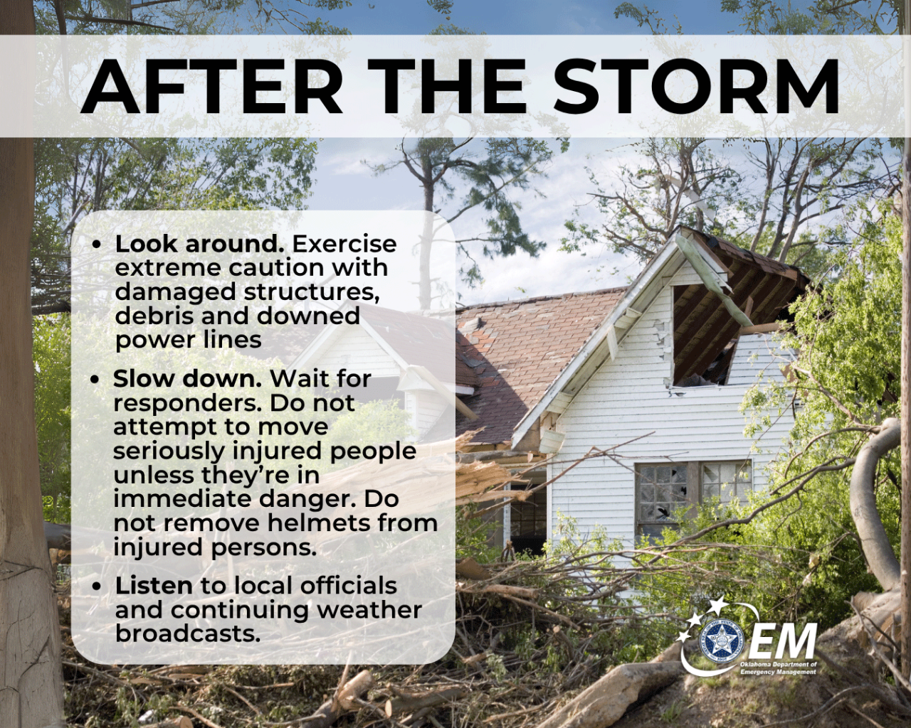 When Thunder Roars, Go Indoors - 4