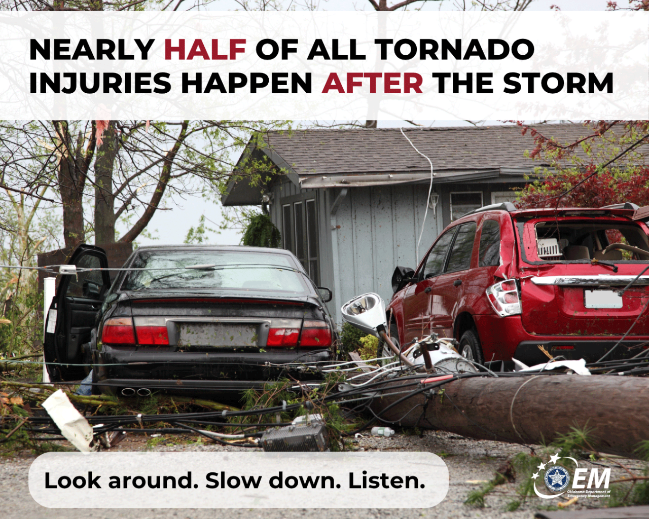 When Thunder Roars, Go Indoors - 4