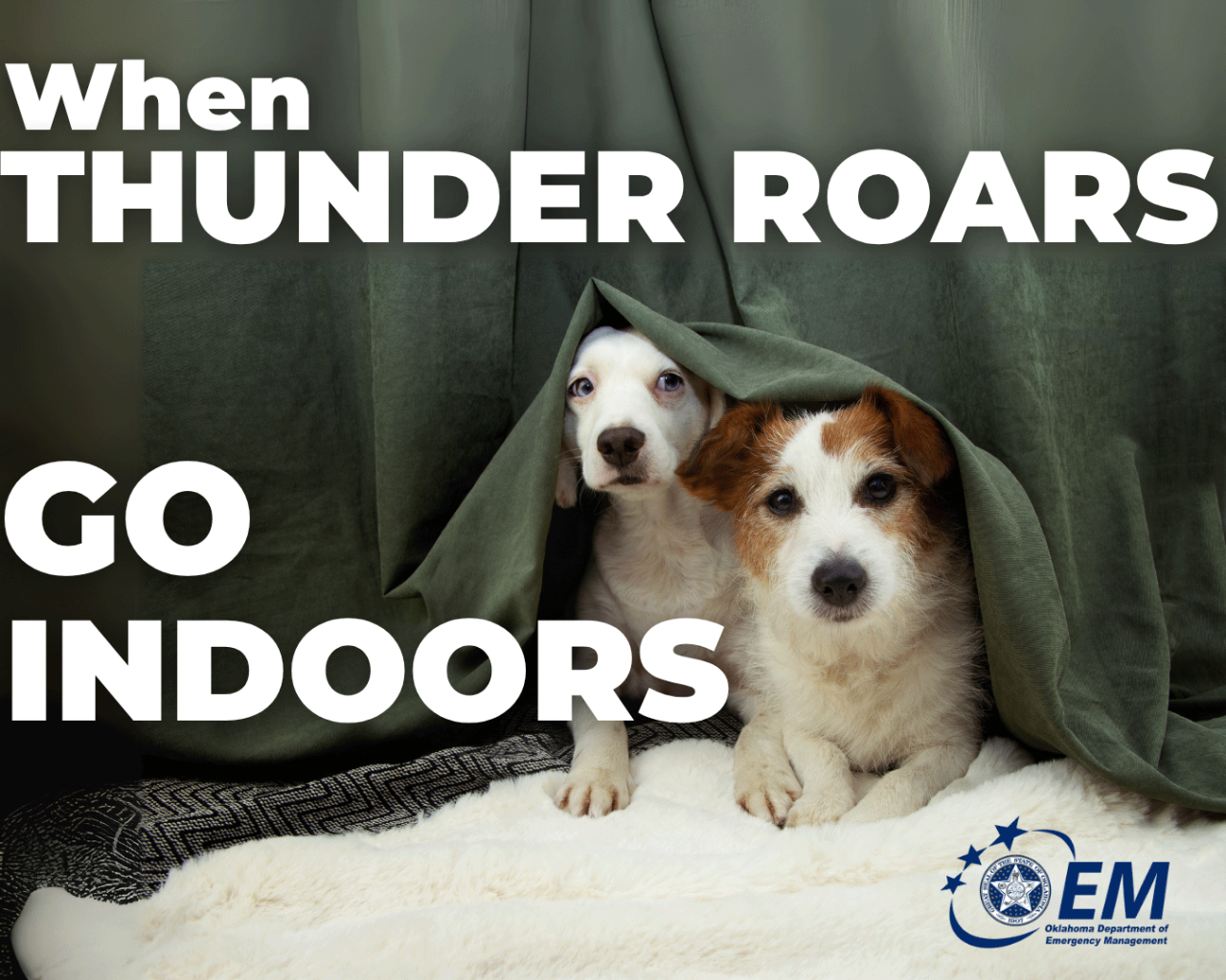 When Thunder Roars, Go Indoors. Photo of two dogs hiding under the curtains. Logo, Oklahoma Department of Emergency Management.