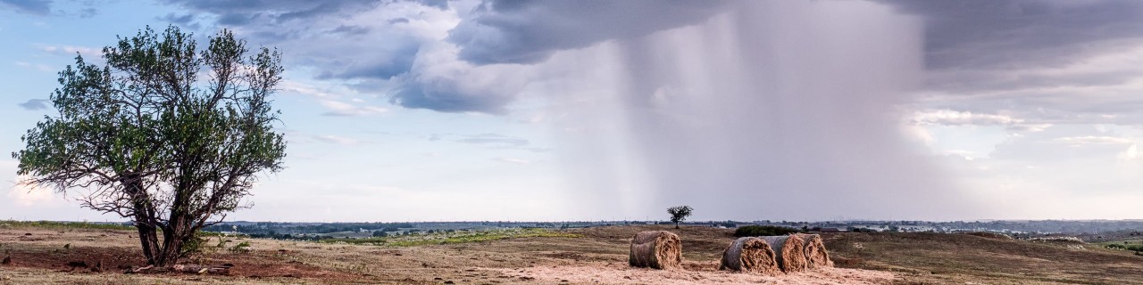 In pasture land, a tornado falls from the sky.