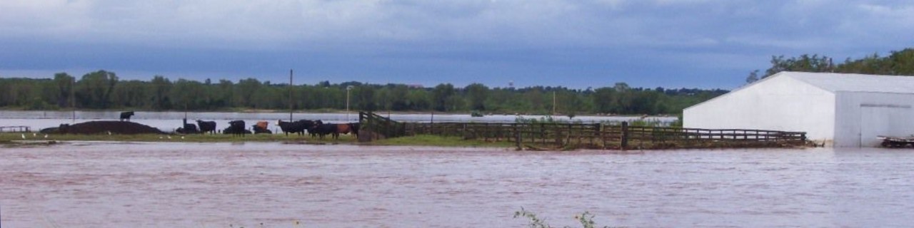 flooded area with building in jeopardy.