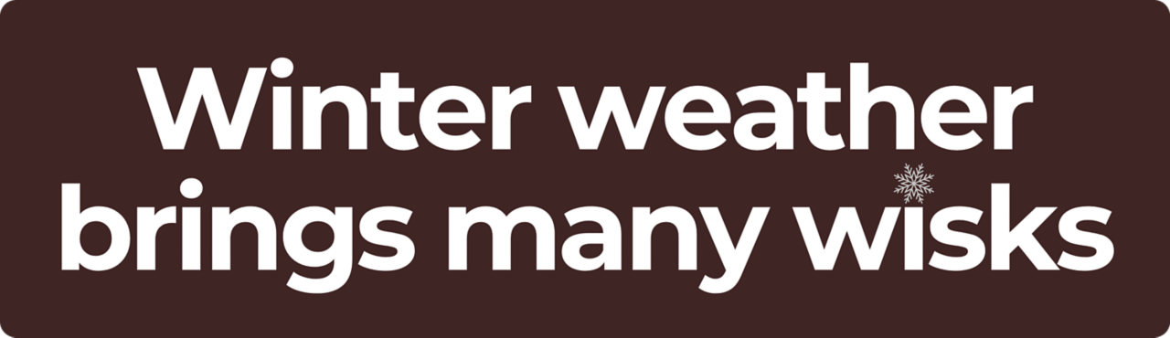 Winter weather brings many wisks