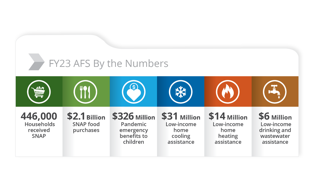 AFS Infographic for Annual Report. 