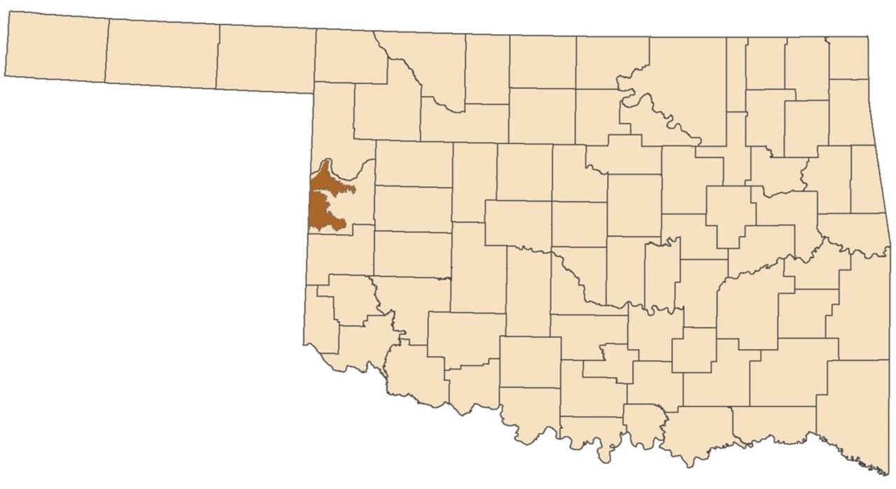 Ogallala-Roger Mills