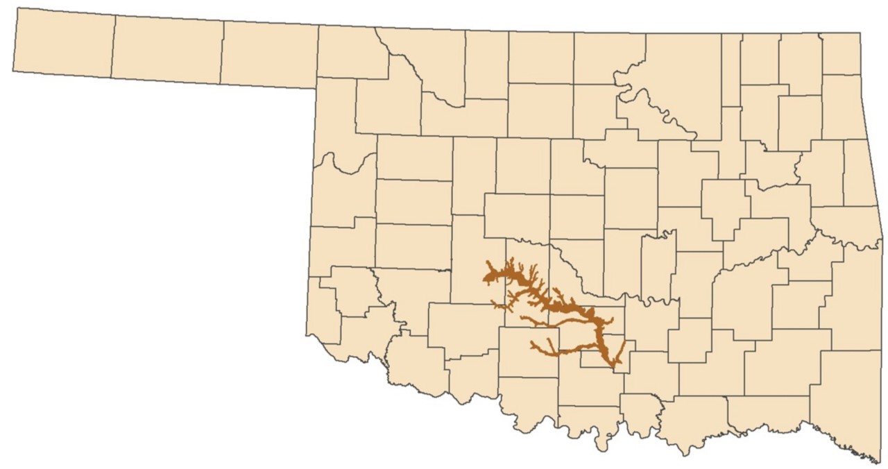 Washita River Reach 3-4