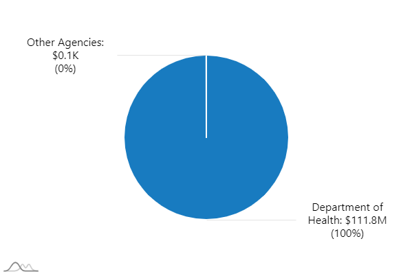 A0000-pie chart indicating:  "Agency: Department of Health. Expenditures: 90.3M"   "Agency: Other Agencies. Expenditures: 0.0"